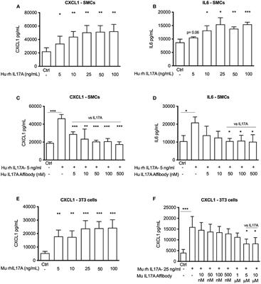 Inhibition of IL17A Using an Affibody Molecule Attenuates Inflammation in ApoE-Deficient Mice